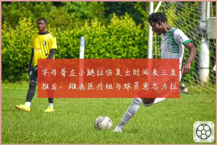 字母哥左小腿拉伤复出时间表三度推后，雄鹿医疗组与球员意志力拉锯战