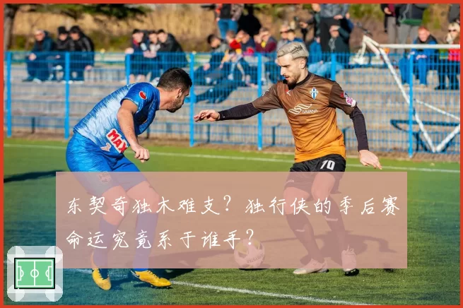 东契奇独木难支?独行侠的季后赛命运究竟系于谁手?